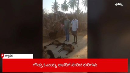 ಚಳ್ಳಕೆರೆ : ಕುರಿಗಳ ಸಾವು, ರೈತ ಕಂಗಾಲು