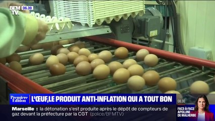 Pas épargnés par l'inflation, les œufs restent prisés par les Français