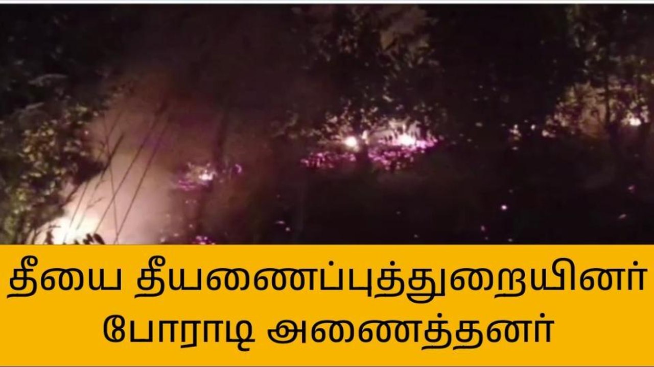புதுகை: சரக்கு குப்பைகளால் பரவிய காட்டுத் தீ!