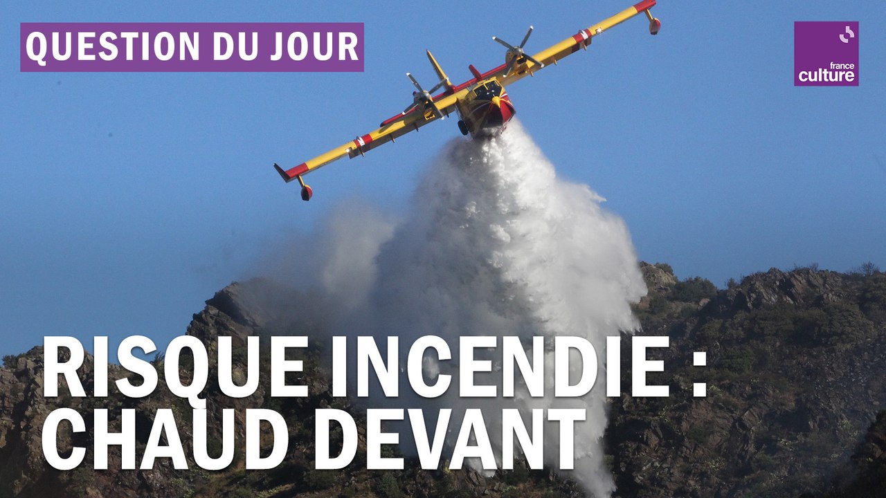 Feux dans les Pyrénées-Orientales : comment faire face au risque accru d’incendies ?