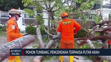 Pohon Tumbang, Pengendara Terpaksa Putar Arah