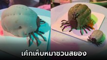 คาเฟ่จัดให้ ! เค้กเห็บหมา งานเนียนจนขนลุกซู่