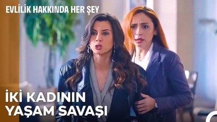 Omuz Omuza Kazanacağız Bu Davayı - Evlilik Hakkında Her Şey