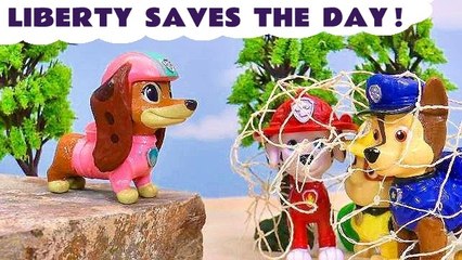 Paw Patrol Toys Rescue Story - LIBERTY Saves The Day Animation Cartoon for Kids