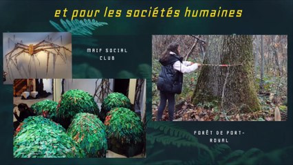 La forêt