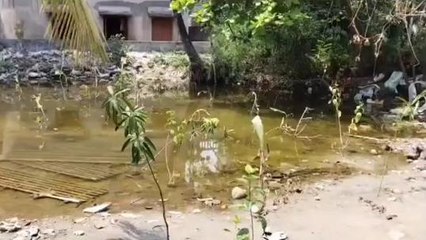 উঃ২৪পঃ চমকে উঠবেন আপনিও ! জমি মাফিয়াদের সাহস দেখে অবাক শাসকদলও