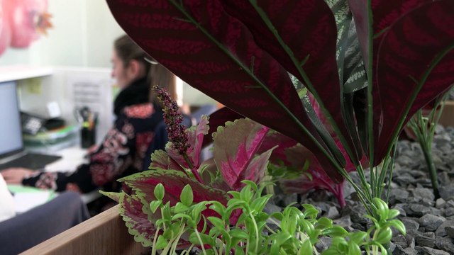 Natac se alza con el premio Pyme del Año en Cáceres