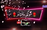 Munga pkhtanu | Pashto poetry | pashto black screen status | ansha__typist.