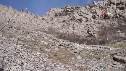 Terörden temizlenen dağlar pancarcıların meskeni oldu