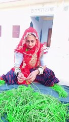Vegetable of tharparkar.. in thar known by name sengryon ۔سینگریون