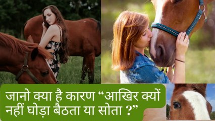 why horse is not sleep on land ? | घोड़ा जमीन पर क्यों नहीं बैठता है?