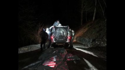 Trento, presidente Fugatti annuncia la cattura dell'orsa JJ4