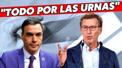 Trembundo zasca de Feijóo a Sánchez tras pedir perdón por el Sí es Sí: “No lo hace por respeto a las mujeres..."