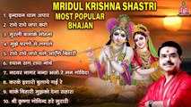 Mridul krishna Shastri shri krishna Most Popular Bhajan~shri Krishna Bhajan~Sri Radhe krishna bhajan