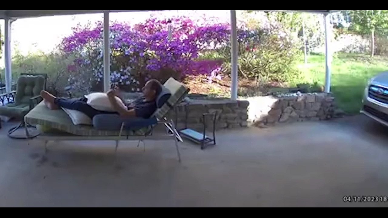 Un intrus vient l'importuner pendant qu'il lit un livre sur sa terrasse