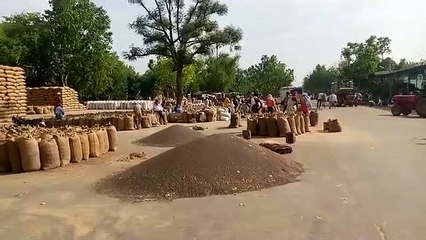 समर्थन मूल्य पर फसलों की खरीद