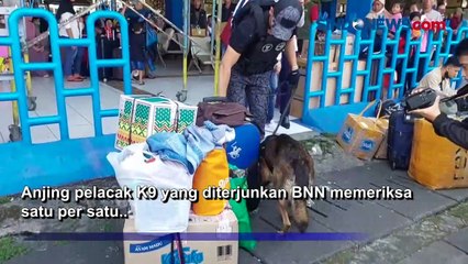 Jamin Kenyamanan Pemudik, BNN Kerahkan Anjing K9 dan Tes Urin Sopir