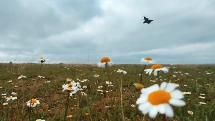 Selçuk Bayraktar KIZILELMA'dan yeni görüntü paylaştı