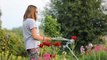 Water-Saving Gardening Tips to Save the Environment and Your Wallet