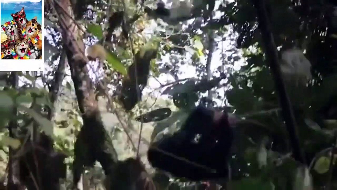 Best Funny Animal Fail April 2023