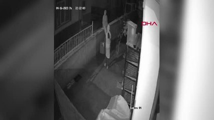 Kadınlar, kümesteki tavukları kutuya koyup çaldı; o anlar kamerada