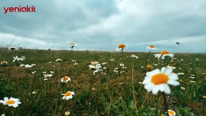 Bayraktar'dan gururlandıran Kızılelma paylaşımı! Sosyal medyada binlerce beğeni aldı