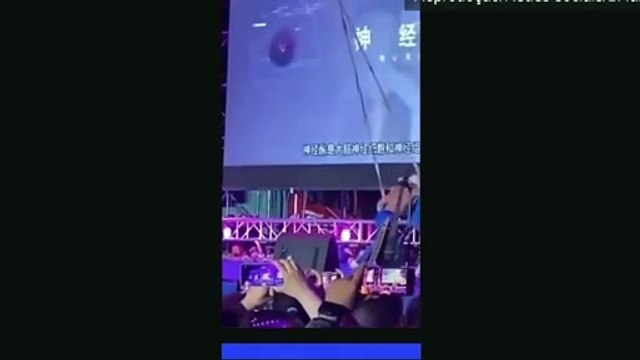 Trapezista non afferra il compagno e precipita al circo