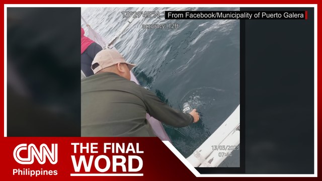 Only 9 Puerto Galera areas pass water quality test | The Final Word