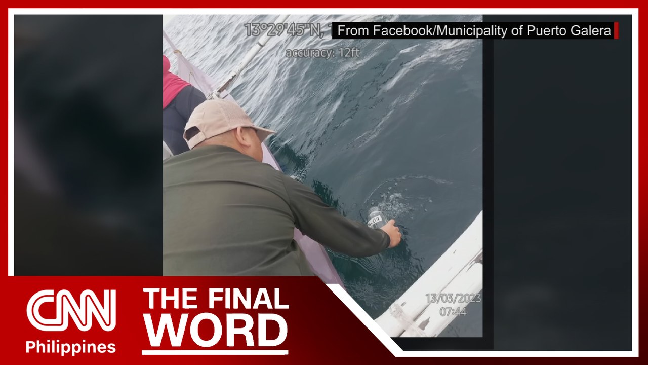 Only 9 Puerto Galera areas pass water quality test | The Final Word