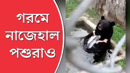 গ্রীষ্মে ডায়েট বদল শিলিগুড়ির বেঙ্গল সাফারির আবাসিকদের
