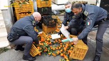 Cocaina trasportata in carichi di frutta: 21 arresti, sequestri per oltre 1 milione (18.04.23)