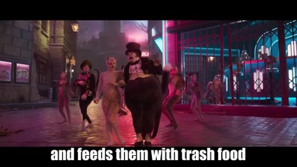 Cats explained by an idiot