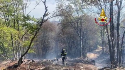 Tải video: Vigili del fuoco impegnati in due incendi boschivi in Piemonte