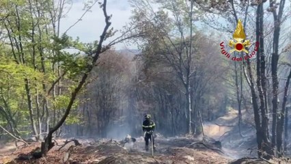 Vigili del fuoco impegnati in due incendi boschivi in Piemonte