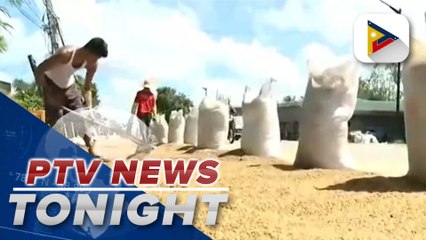 DA, NFA gear up for El Niño, typhoon, possible rice crisis 