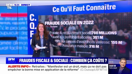 Fraudes fiscale et sociale: combien ça coûte à l'État?
