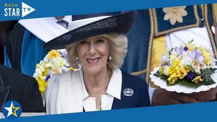 Couronnement de Charles III : les retrouvailles entre Harry et Camilla scrutées de près…