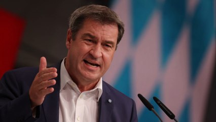 Bayern will Wölfe ab Mai leichter jagen – Söder kündigt schnelle Änderungen an 🐺