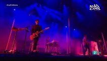 Domesticated Animals - Queens of the Stone Age (live)