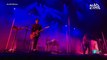 Domesticated Animals - Queens of the Stone Age (live)