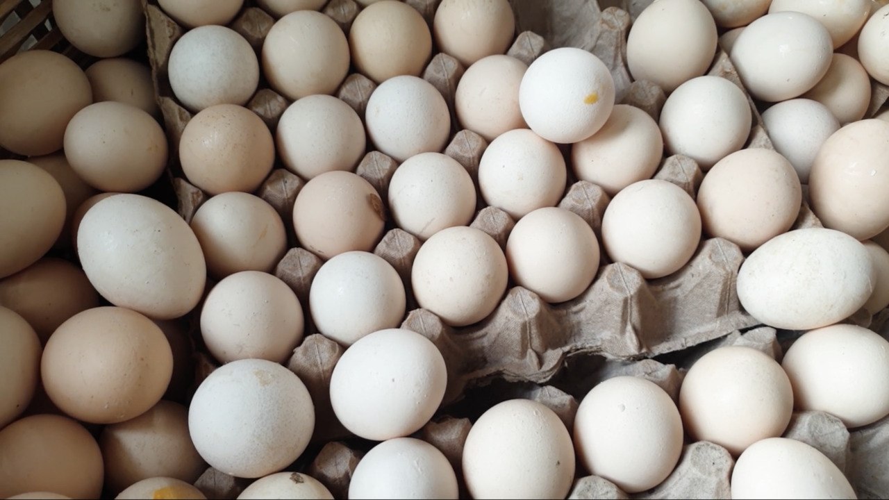 What Is the Egg Diet and Is It Safe?