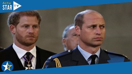 Harry et William : ce qu'ils ont prévu de faire ensemble (ou pas) au couronnement de Charles III