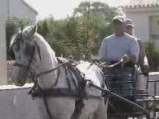 sortie dans les dunes et a la plage