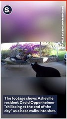 Man Startled by Bear in Close Encounter at Asheville Home