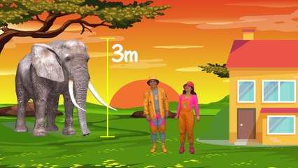 Los Meñiques De La Casa - El Leon, el elefante  y los animales de la selva | que es ser vegetariano