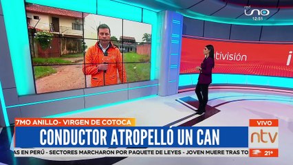 Nuevamente conductor se da a la fuga después de atropellar a un can
