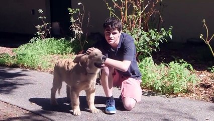 12th Grader Picks Up 24 Year Olds With Puppy Prank