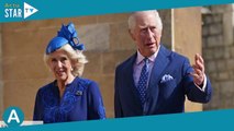 Charles et Camilla : leur supposé fils caché dévoile une troublante ressemblance…