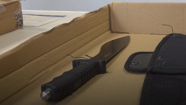 ‘Too little too late’ for plans to ban more machetes and zombie knives, says Labour