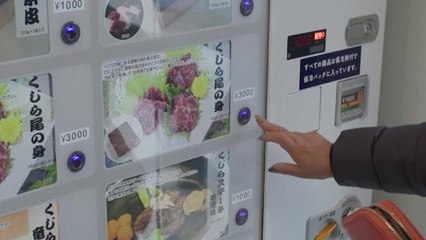 "일본 시판 돌고래 고기에서 허용치 100배 수은 검출" / YTN